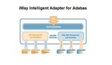 iWay Intelligent Adapter for Adabas